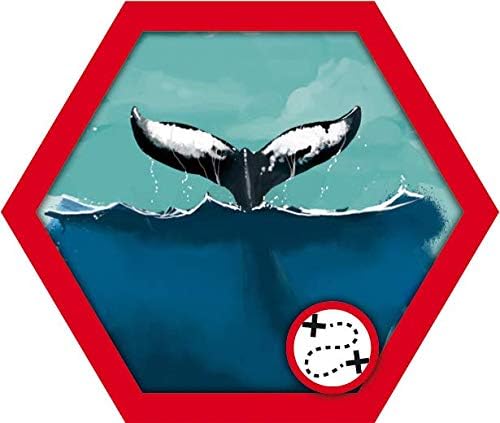 The Island - Image 7